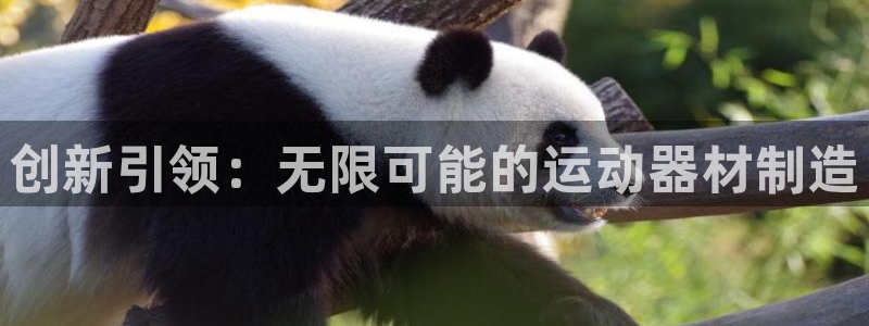 fb体育集团:创新引领:无限可能的运动器材制造